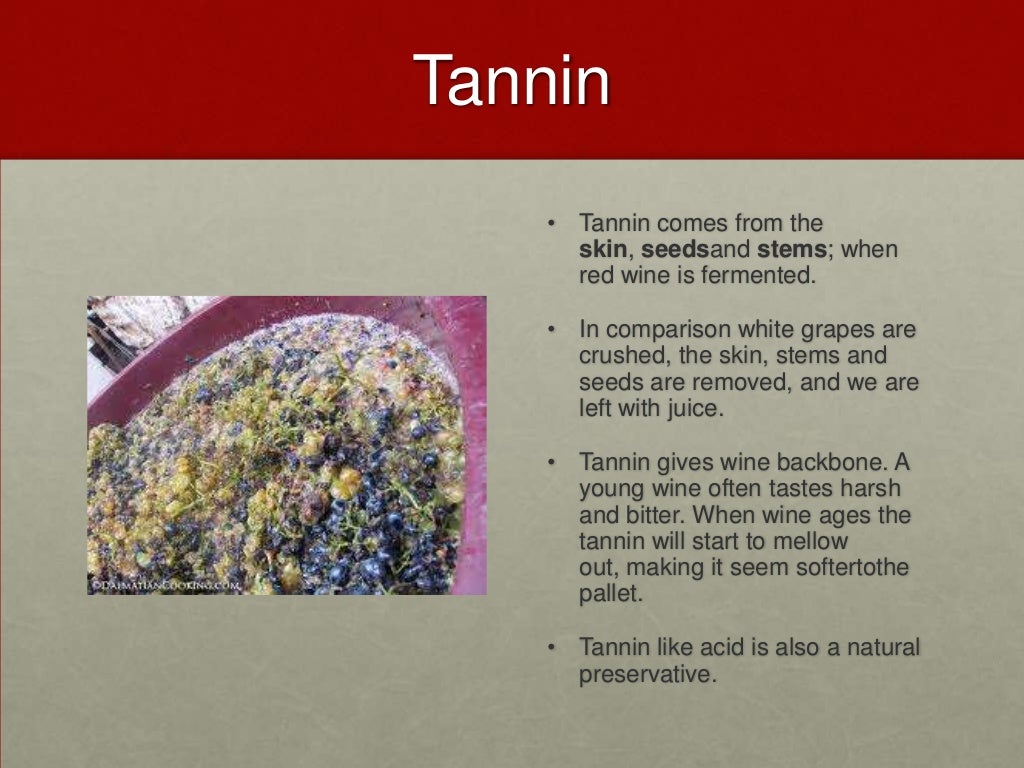 Tannin Tannin comes from the
