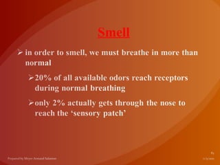 Smell
 