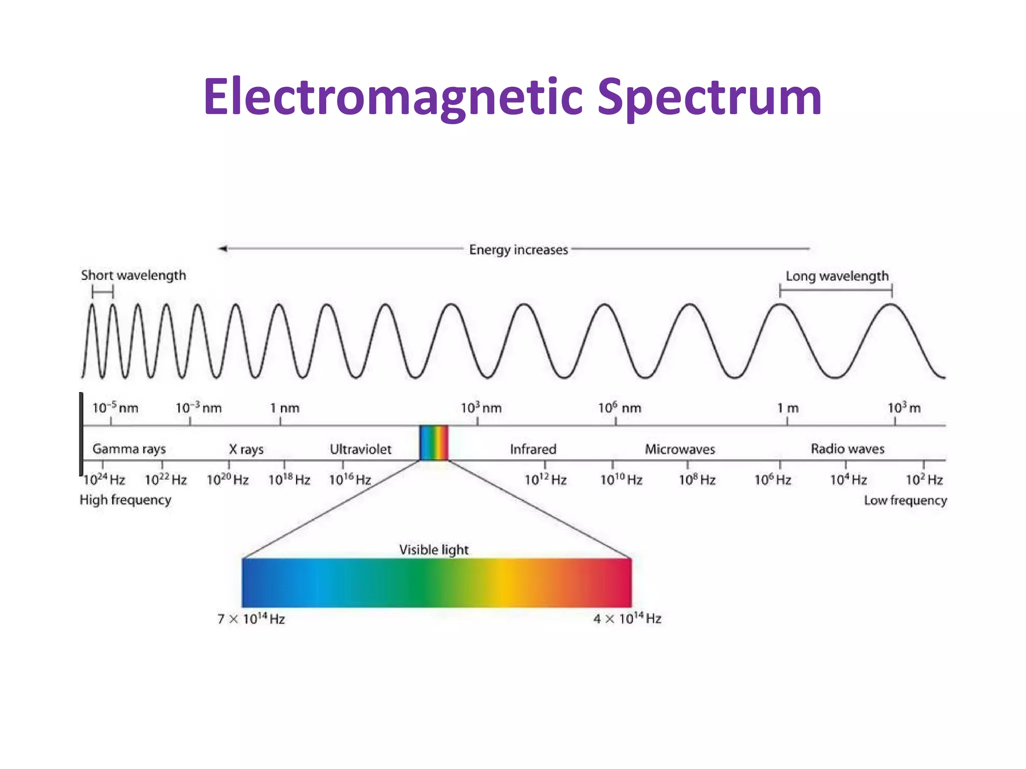 Electromagnetic Spectrum
 