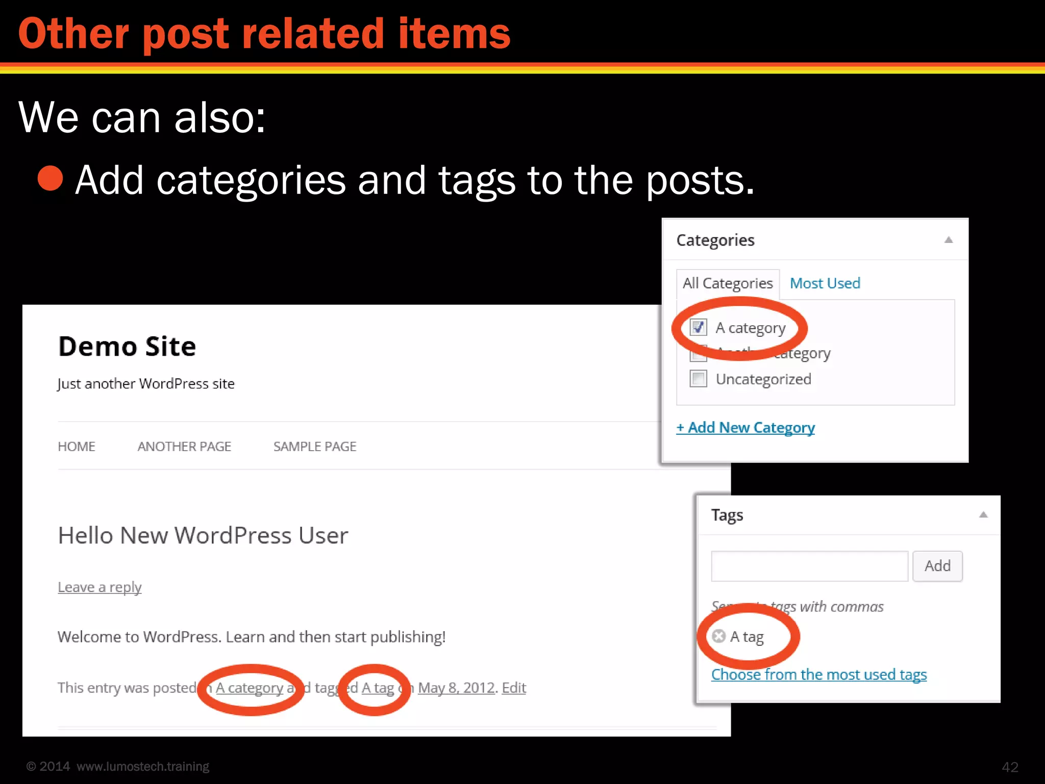 © 2014 www.lumostech.training
We can also:
 Add categories and tags to the posts.
42
Other post related items
 