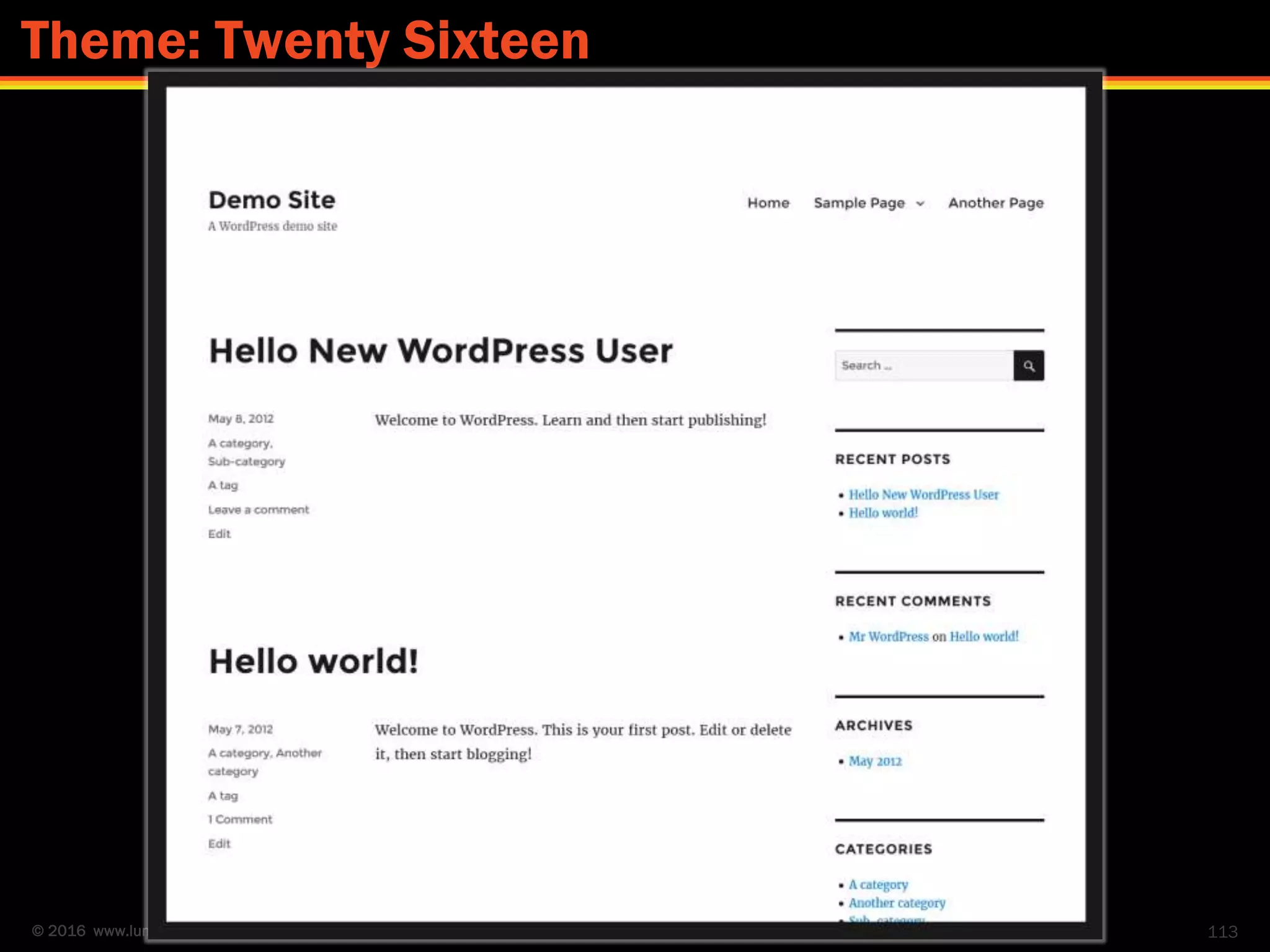 © 2016 www.lumostech.training 113
Theme: Twenty Sixteen
 