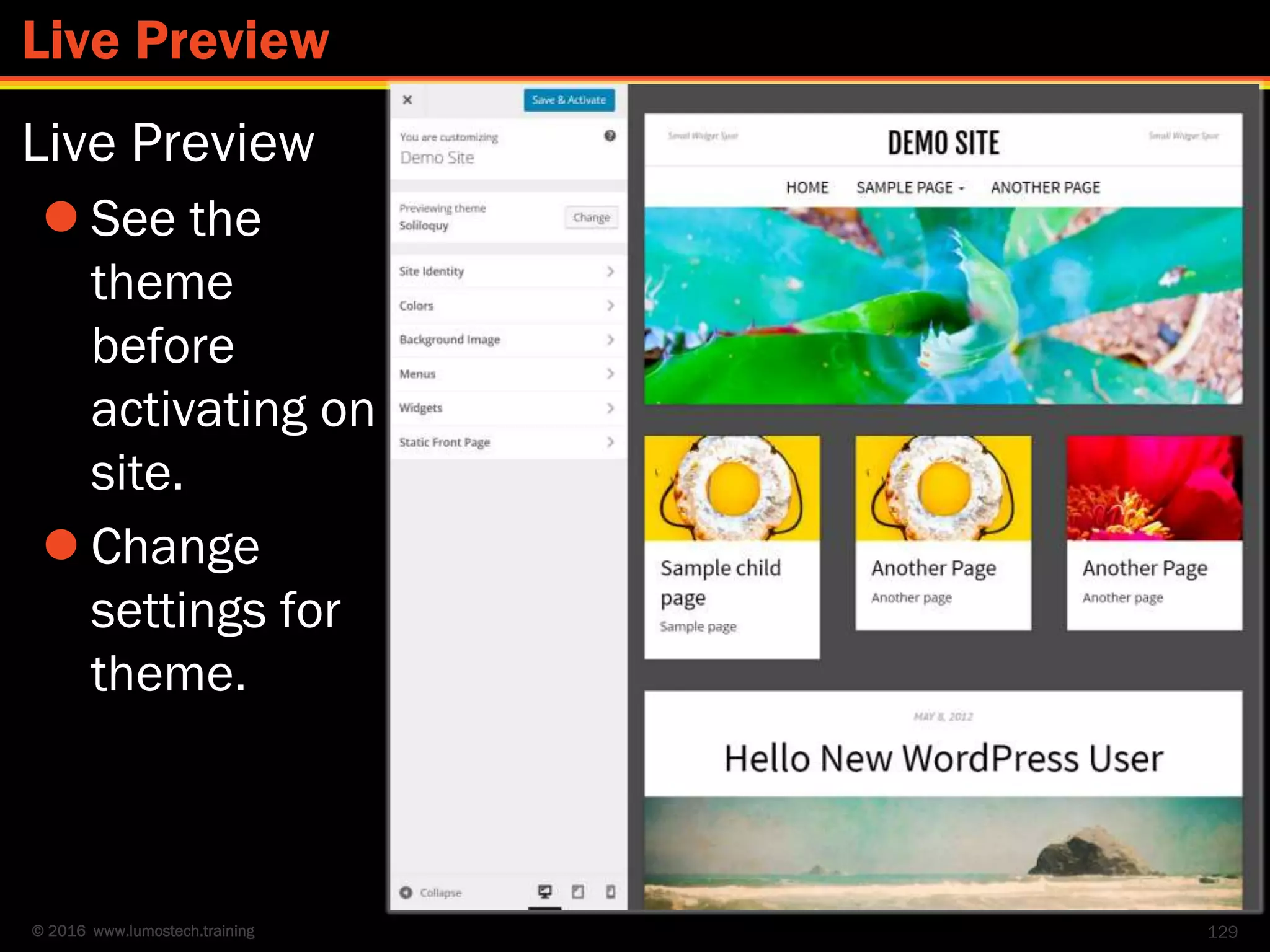 © 2016 www.lumostech.training
Live Preview
 See the
theme
before
activating on
site.
 Change
settings for
theme.
129
Live Preview
 