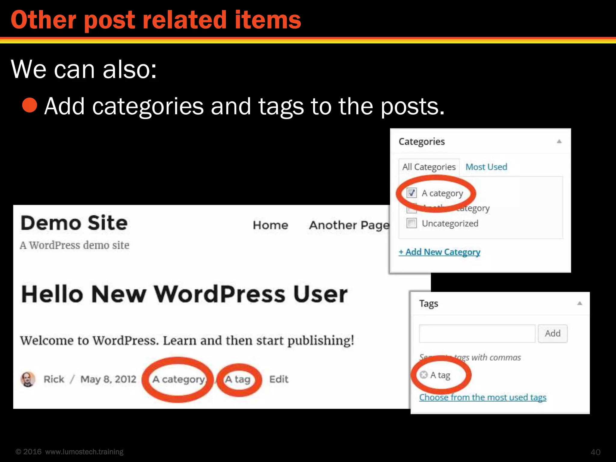 © 2016 www.lumostech.training
We can also:
 Add categories and tags to the posts.
40
Other post related items
 
