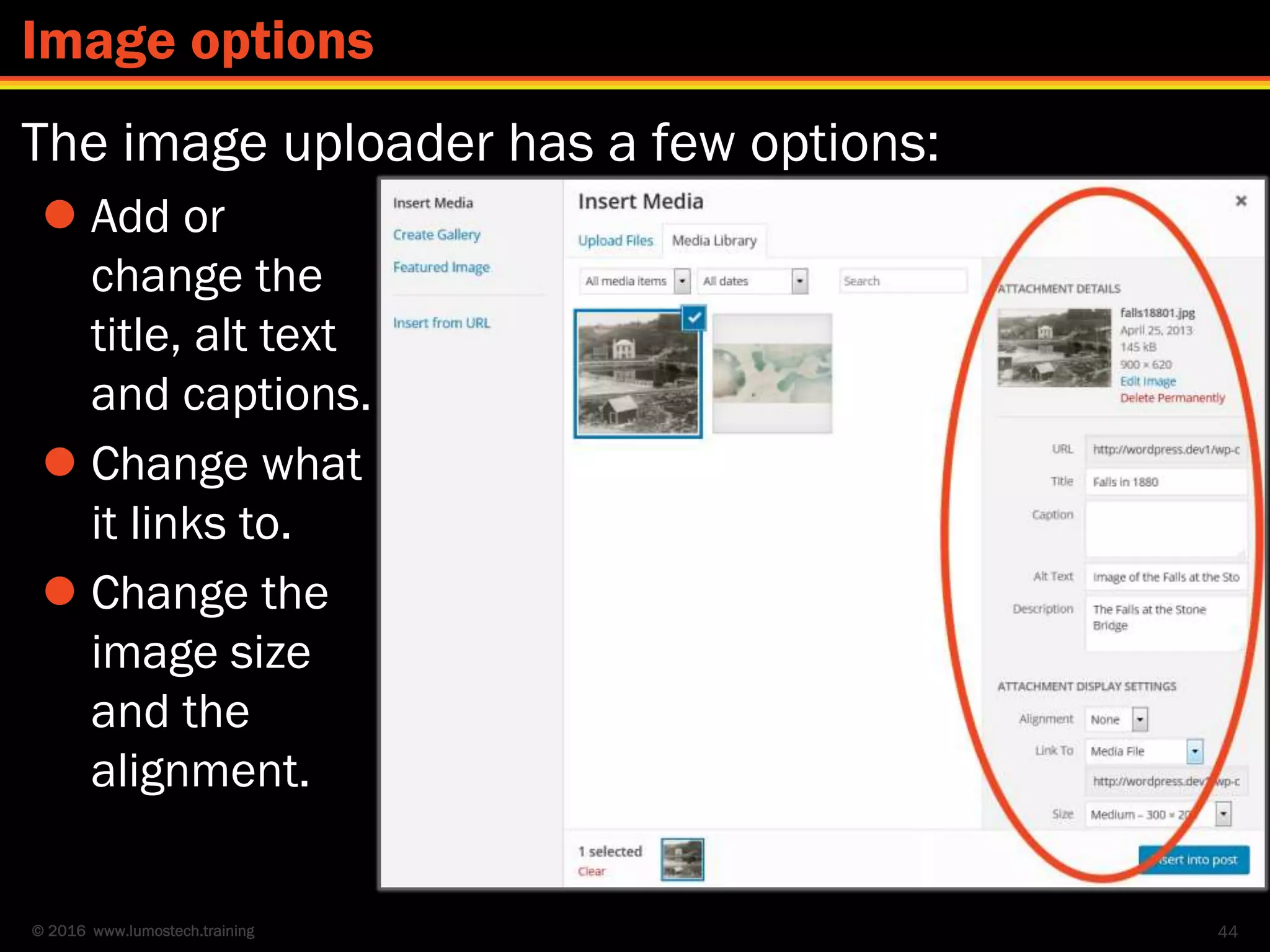 © 2016 www.lumostech.training
The image uploader has a few options:
 Add or
change the
title, alt text
and captions.
 Change what
it links to.
 Change the
image size
and the
alignment.
44
Image options
 