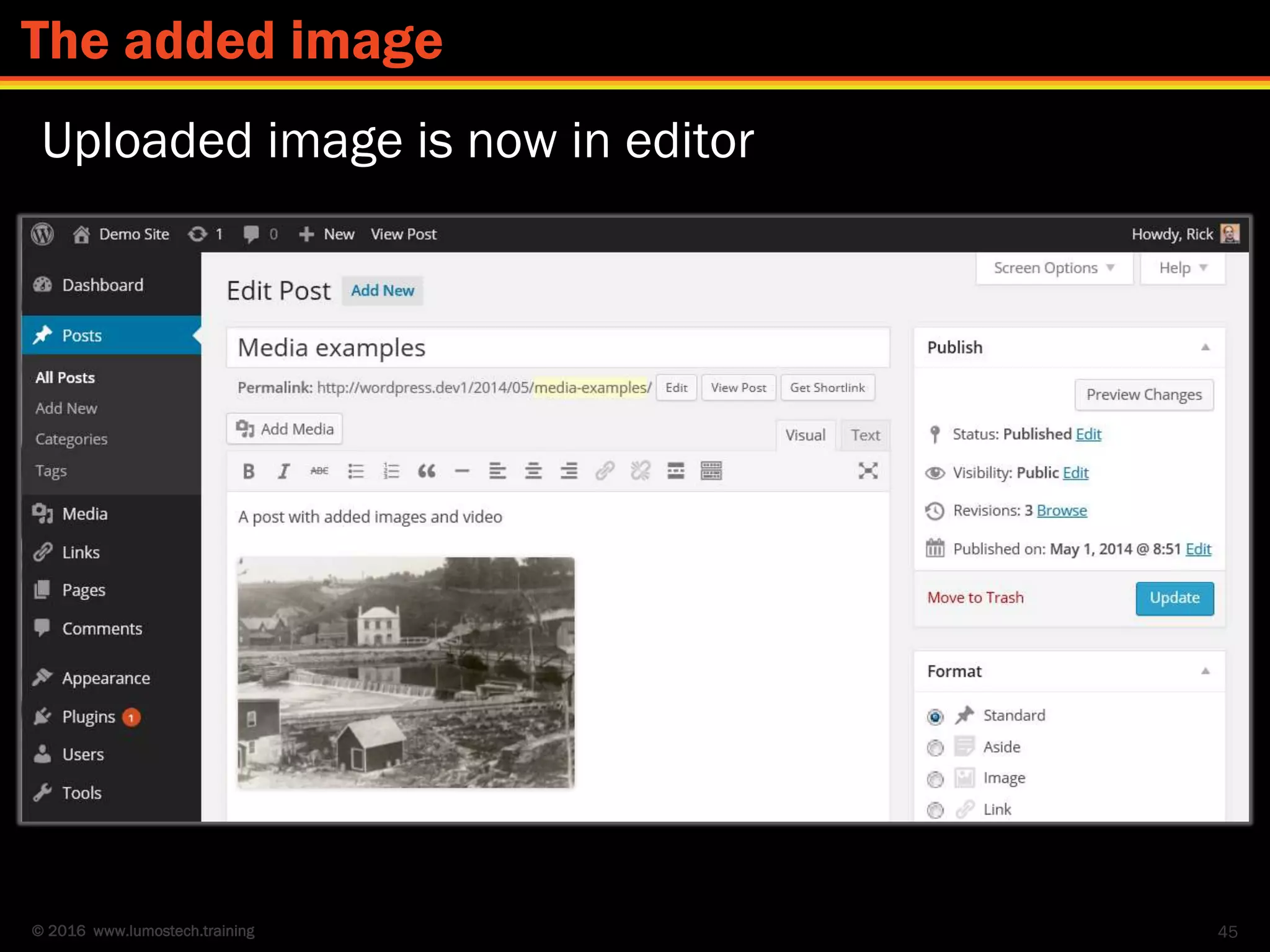 © 2016 www.lumostech.training
Uploaded image is now in editor
45
The added image
 