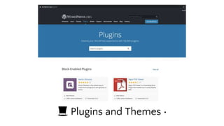 🎩 Plugins and Themes 🥼
 