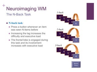 Introduction to working memory | PPT
