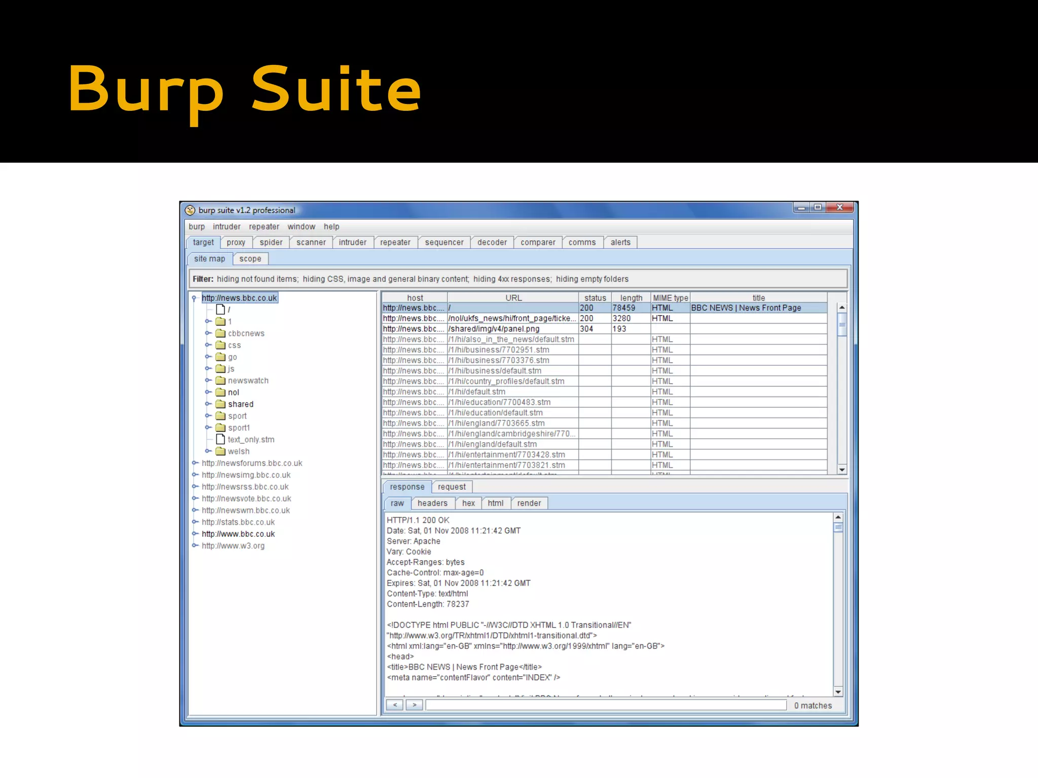 Burp Suite 