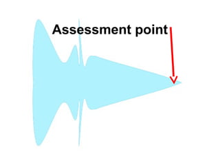 Assessment point
 