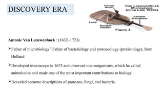 DISCOVERY ERA
Antonie Van Leeuwenhoek : (1632–1723)
Father of microbiology” Father of bacteriology and protozoology (protistology), from
Holland
Developed microscope in 1673 and observed microorganisms, which he called
animalcules and made one of the most important contributions to biology.
Revealed accurate descriptions of protozoa, fungi, and bacteria.
 