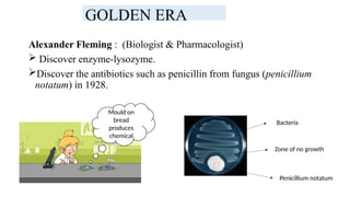 Alexander Fleming : (Biologist & Pharmacologist)
 Discover enzyme-lysozyme.
Discover the antibiotics such as penicillin from fungus (penicillium
notatum) in 1928.
Mould on
bread
produces
chemical
Bacteria
Zone of no growth
Penicillium notatum
GOLDEN ERA
 