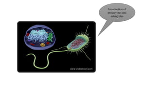 Introduction of
prokaryotes and
eukaryotes
 