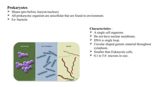 Prokaryotes
 Means (pro-before, karyon-nucleus)
 All prokaryotic organism are unicellular that are found in environment.
 Ex- bacteria
Characteristics :
 A single cell organism.
 Do not have nuclear membrane.
 DNA is single loop.
 Circular shaped genetic material throughout
cytoplasm.
 Smaller than Eukaryotic cells.
 0.1 to 5.0 microns in size.
 