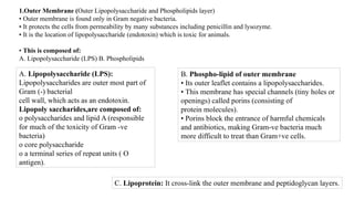 1.Outer Membrane (Outer Lipopolysaccharide and Phospholipids layer)
• Outer membrane is found only in Gram negative bacteria.
• It protects the cells from permeability by many substances including penicillin and lysozyme.
• It is the location of lipopolysaccharide (endotoxin) which is toxic for animals.
• This is composed of:
A. Lipopolysaccharide (LPS) B. Phospholipids
B. Phospho-lipid of outer membrane
• Its outer leaflet contains a lipopolysaccharides.
• This membrane has special channels (tiny holes or
openings) called porins (consisting of
protein molecules).
• Porins block the entrance of harmful chemicals
and antibiotics, making Gram-ve bacteria much
more difficult to treat than Gram+ve cells.
A. Lipopolysaccharide (LPS):
Lipopolysaccharides are outer most part of
Gram (-) bacterial
cell wall, which acts as an endotoxin.
Lipopoly saccharides,are composed of:
o polysaccharides and lipid A (responsible
for much of the toxicity of Gram -ve
bacteria)
o core polysaccharide
o a terminal series of repeat units ( O
antigen).
C. Lipoprotein: It cross-link the outer membrane and peptidoglycan layers.
 
