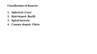 Classification of Bacteria
1. Spherical- Cocci
2. Rod-shaped- Bacilli
3. Spiral bacteria
4. Comma shaped- Vibrio
 