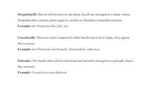 Streptobacilli: Due to cell division in one plane, bacilli are arranged in a chain. Genus
Streptobacillus contains gram-negative, aerobic or facultative anaerobic bacteria.
Examples are Streptobacillus felis, etc.
Coccobacilli: These are short compared to other bacilli and oval in shape, they appear
like a coccus.
Examples are Chlamydia trachomatis, Haemophilus influenzae
Palisades: The bacilli after cell division bend and therefore arranged in a palisade, fence-
like structure.
Example: Corynebacterium diptheria
 