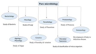 Pure microbiology
Bacteriology
Study of Bacteria
Mycology
Study of fungi
Protozoology
Algology /
Phycology
Parasitology
Study of Protozoa
Study of Algae
Study of Parasitism
Immunology
Development of body to
infectious disease
Genetics
Study of heredity & variation
Microbial
Taxonomy
Study of classification of micro organism
 