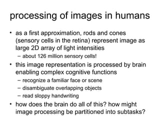 processing of images in humans
• as a first approximation, rods and cones
  (sensory cells in the retina) represent image as
  large 2D array of light intensities
  – about 126 million sensory cells!
• this image representation is processed by brain
  enabling complex cognitive functions
  – recognize a familiar face or scene
  – disambiguate overlapping objects
  – read sloppy handwriting
• how does the brain do all of this? how might
  image processing be partitioned into subtasks?
 