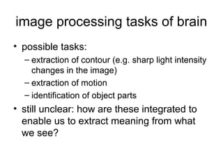 image processing tasks of brain
• possible tasks:
  – extraction of contour (e.g. sharp light intensity
    changes in the image)
  – extraction of motion
  – identification of object parts
• still unclear: how are these integrated to
  enable us to extract meaning from what
  we see?
 