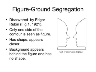 Figure-Ground Segregation
• Discovered by Edgar
  Rubin (Fig.1, 1921).
• Only one side of the
  contour is seen as figure.
• Has shape, appears
  closer.
• Background appears
                               Fig.1 (Faces/vase display)
  behind the figure and has
  no shape.
 