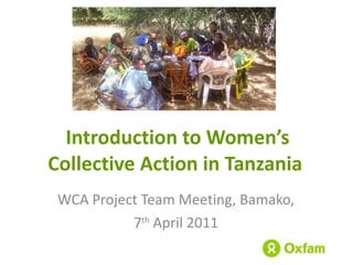 Introduction to Women’s Collective Action in Tanzania  WCA Project Team Meeting, Bamako,  7 th  April 2011 