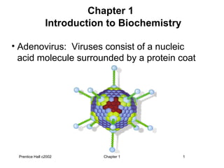 Chapter 1  Introduction to Biochemistry   Prentice Hall c2002 Chapter 1 ,[object Object]