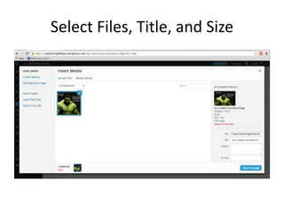 Select Files, Title, and Size 
 