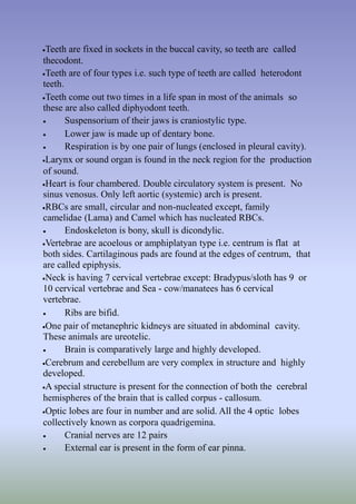 Introducton and classification chordata | PPT
