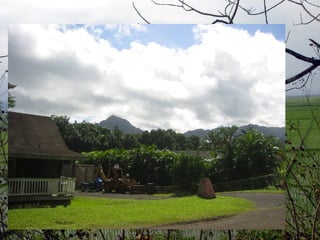 Elements of a Paragraph 1.  