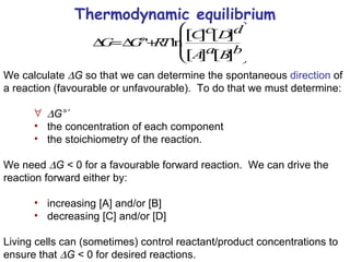 Thermodynamic equilibrium We calculate   G  so that we can determine the spontaneous  direction  of a reaction (favourable or unfavourable).  To do that we must determine:  G°´ the concentration of each component  the stoichiometry of the reaction. We need   G  < 0 for a favourable forward reaction.  We can drive the reaction forward either by: increasing [A] and/or [B] decreasing [C] and/or [D] Living cells can (sometimes) control reactant/product concentrations to ensure that   G  < 0 for desired reactions. 