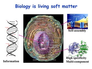 Biology is living soft matter Self-assembly High specificity Multi-component Information 