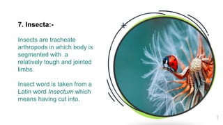 introductoryagriculturalentomology-210516065819.pdf