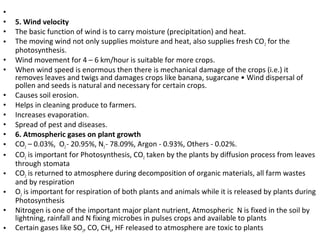 •
• 5. Wind velocity
• The basic function of wind is to carry moisture (precipitation) and heat.
• The moving wind not only supplies moisture and heat, also supplies fresh CO2 for the
photosynthesis.
• Wind movement for 4 – 6 km/hour is suitable for more crops.
• When wind speed is enormous then there is mechanical damage of the crops (i.e.) it
removes leaves and twigs and damages crops like banana, sugarcane • Wind dispersal of
pollen and seeds is natural and necessary for certain crops.
• Causes soil erosion.
• Helps in cleaning produce to farmers.
• Increases evaporation.
• Spread of pest and diseases.
• 6. Atmospheric gases on plant growth
• CO2 – 0.03%, O2- 20.95%, N2- 78.09%, Argon - 0.93%, Others - 0.02%.
• CO2 is important for Photosynthesis, CO2 taken by the plants by diffusion process from leaves
through stomata
• CO2 is returned to atmosphere during decomposition of organic materials, all farm wastes
and by respiration
• O2 is important for respiration of both plants and animals while it is released by plants during
Photosynthesis
• Nitrogen is one of the important major plant nutrient, Atmospheric N is fixed in the soil by
lightning, rainfall and N fixing microbes in pulses crops and available to plants
• Certain gases like SO2, CO, CH4, HF released to atmosphere are toxic to plants
 