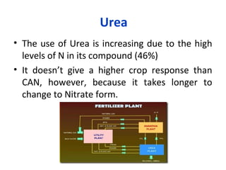 Urea
• The use of Urea is increasing due to the high
levels of N in its compound (46%)
• It doesn’t give a higher crop response than
CAN, however, because it takes longer to
change to Nitrate form.
 
