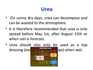 Urea
• On sunny dry days, urea can decompose and
can be wasted to the atmosphere.
• It is therefore recommended that urea is only
spread before May 1st, after August 15th or
when rain is forecast.
• Urea should also only be used as a top
dressing (over established crops) when wet.
 