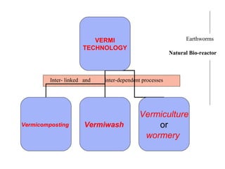 VERMI
TECHNOLOGY
Vermicomposting Vermiwash
Vermiculture
or
wormery
Inter- linked and inter-dependent processes
Earthworms
Natural Bio-reactor
 