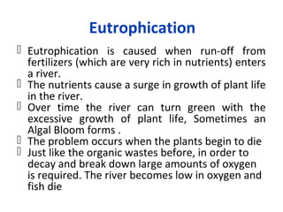 Eutrophication
 Eutrophication is caused when run-off from
fertilizers (which are very rich in nutrients) enters
a river.
 The nutrients cause a surge in growth of plant life
in the river.
 Over time the river can turn green with the
excessive growth of plant life, Sometimes an
Algal Bloom forms .
 The problem occurs when the plants begin to die
 Just like the organic wastes before, in order to
decay and break down large amounts of oxygen
is required. The river becomes low in oxygen and
fish die
 