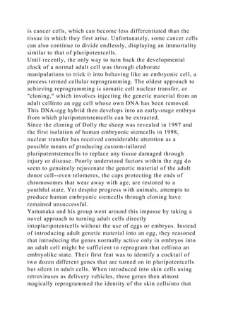 is cancer cells, which can become less differentiated than the
tissue in which they first arise. Unfortunately, some cancer cells
can also continue to divide endlessly, displaying an immortality
similar to that of pluripotentcells.
Until recently, the only way to turn back the developmental
clock of a normal adult cell was through elaborate
manipulations to trick it into behaving like an embryonic cell, a
process termed cellular reprogramming. The oldest approach to
achieving reprogramming is somatic cell nuclear transfer, or
"cloning," which involves injecting the genetic material from an
adult cellinto an egg cell whose own DNA has been removed.
This DNA-egg hybrid then develops into an early-stage embryo
from which pluripotentstemcells can be extracted.
Since the cloning of Dolly the sheep was revealed in 1997 and
the first isolation of human embryonic stemcells in 1998,
nuclear transfer has received considerable attention as a
possible means of producing custom-tailored
pluripotentstemcells to replace any tissue damaged through
injury or disease. Poorly understood factors within the egg do
seem to genuinely rejuvenate the genetic material of the adult
donor cell--even telomeres, the caps protecting the ends of
chromosomes that wear away with age, are restored to a
youthful state. Yet despite progress with animals, attempts to
produce human embryonic stemcells through cloning have
remained unsuccessful.
Yamanaka and his group went around this impasse by taking a
novel approach to turning adult cells directly
intopluripotentcells without the use of eggs or embryos. Instead
of introducing adult genetic material into an egg, they reasoned
that introducing the genes normally active only in embryos into
an adult cell might be sufficient to reprogram that cellinto an
embryolike state. Their first feat was to identify a cocktail of
two dozen different genes that are turned on in pluripotentcells
but silent in adult cells. When introduced into skin cells using
retroviruses as delivery vehicles, these genes then almost
magically reprogrammed the identity of the skin cellsinto that
 