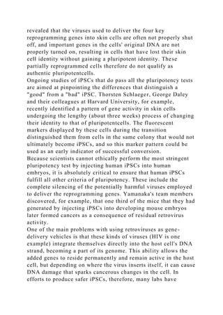 revealed that the viruses used to deliver the four key
reprogramming genes into skin cells are often not properly shut
off, and important genes in the cells' original DNA are not
properly turned on, resulting in cells that have lost their skin
cell identity without gaining a pluripotent identity. These
partially reprogrammed cells therefore do not qualify as
authentic pluripotentcells.
Ongoing studies of iPSCs that do pass all the pluripotency tests
are aimed at pinpointing the differences that distinguish a
"good" from a "bad" iPSC. Thorsten Schlaeger, George Daley
and their colleagues at Harvard University, for example,
recently identified a pattern of gene activity in skin cells
undergoing the lengthy (about three weeks) process of changing
their identity to that of pluripotentcells. The fluorescent
markers displayed by these cells during the transition
distinguished them from cells in the same colony that would not
ultimately become iPSCs, and so this marker pattern could be
used as an early indicator of successful conversion.
Because scientists cannot ethically perform the most stringent
pluripotency test by injecting human iPSCs into human
embryos, it is absolutely critical to ensure that human iPSCs
fulfill all other criteria of pluripotency. These include the
complete silencing of the potentially harmful viruses employed
to deliver the reprogramming genes. Yamanaka's team members
discovered, for example, that one third of the mice that they had
generated by injecting iPSCs into developing mouse embryos
later formed cancers as a consequence of residual retrovirus
activity.
One of the main problems with using retroviruses as gene-
delivery vehicles is that these kinds of viruses (HIV is one
example) integrate themselves directly into the host cell's DNA
strand, becoming a part of its genome. This ability allows the
added genes to reside permanently and remain active in the host
cell, but depending on where the virus inserts itself, it can cause
DNA damage that sparks cancerous changes in the cell. In
efforts to produce safer iPSCs, therefore, many labs have
 
