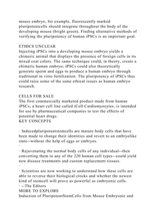 mouse embryo, for example, fluorescently marked
pluripotentcells should integrate throughout the body of the
developing mouse (bright green). Finding alternative methods of
verifying the pluripotency of human iPSCs is an important goal.
ETHICS UNCLEAR
Injecting iPSCs into a developing mouse embryo yields a
chimeric animal that displays the presence of foreign cells in its
mixed coat colors. The same technique could, in theory, create a
chimeric human embryo; iPSCs could also theoretically
generate sperm and eggs to produce a human embryo through
traditional in vitro fertilization. The pluripotency of iPSCs thus
could raise some of the same ethical issues as human embryo
research.
CELLS FOR SALE
The first commercially marketed product made from human
iPSCs, a heart cell line called iCell Cardiomyocytes, is intended
for use by pharmaceutical companies to test the effects of
potential heart drugs.
KEY CONCEPTS
· Inducedpluripotentstemcells are mature body cells that have
been made to change their identities and revert to an embryolike
state--without the help of eggs or embryos.
·
· Rejuvenating the normal body cells of any individual--then
converting them to any of the 220 human cell types--could yield
new disease treatments and custom replacement tissues.
·
· Scientists are now working to understand how these cells are
able to reverse their biological clocks and whether the newest
kind of stemcell will prove as powerful as embryonic cells.
· --The Editors
MORE TO EXPLORE
Induction of PluripotentStemCells from Mouse Embryonic and
 