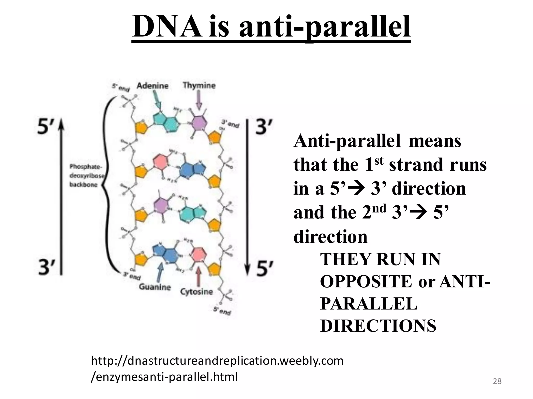 Introductory Biology_5.pdf