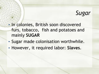 Sugar
• In colonies, British soon discovered
furs, tobacco, fish and potatoes and
mainly SUGAR
• Sugar made colonisation worthwhile.
• However, it required labor: Slaves.
 