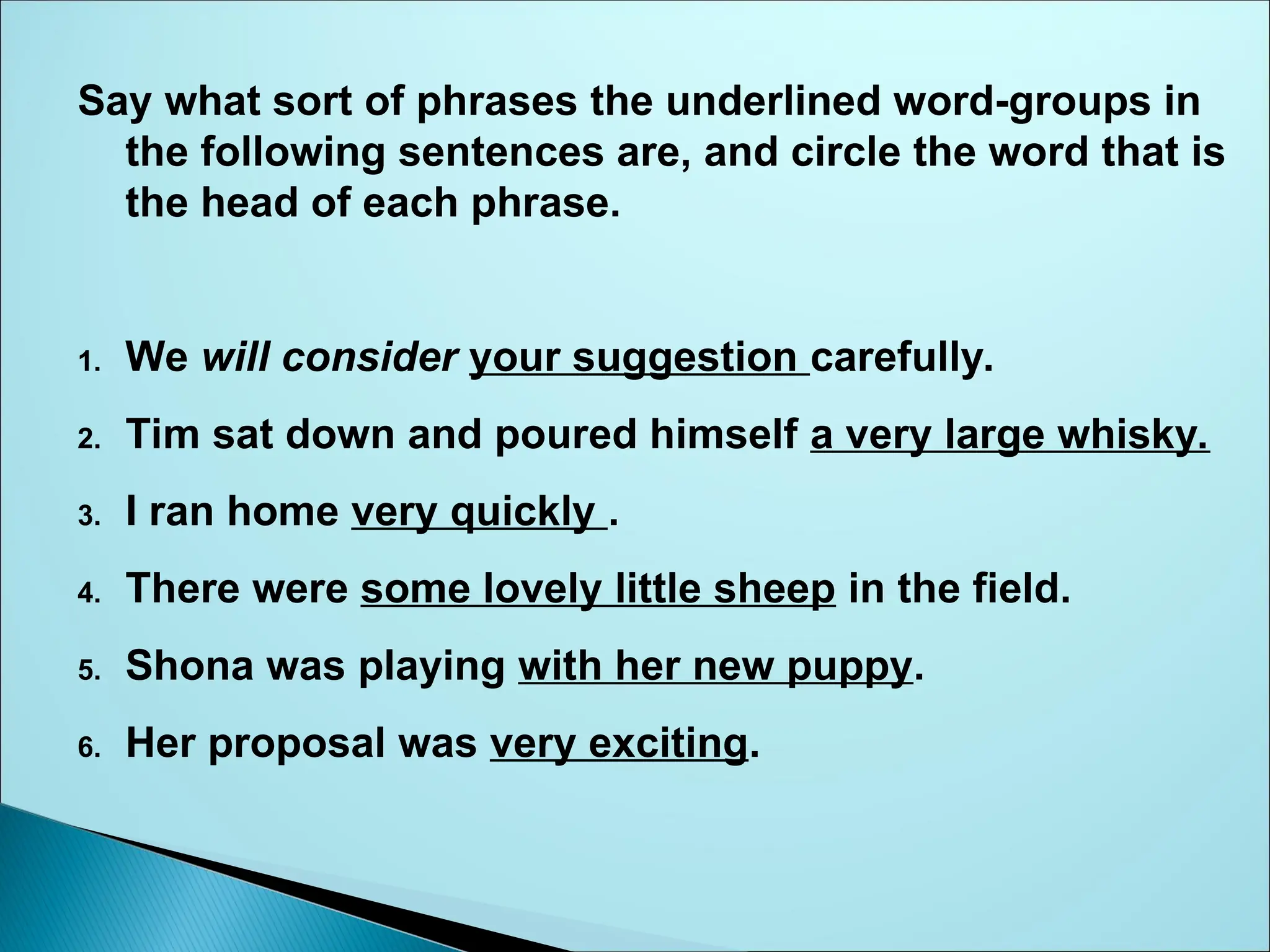 Say what sort of phrases the underlined word-groups in
the following sentences are, and circle the word that is
the head of each phrase.
1. We will consider your suggestion carefully.
2. Tim sat down and poured himself a very large whisky.
3. I ran home very quickly .
4. There were some lovely little sheep in the field.
5. Shona was playing with her new puppy.
6. Her proposal was very exciting.
 
