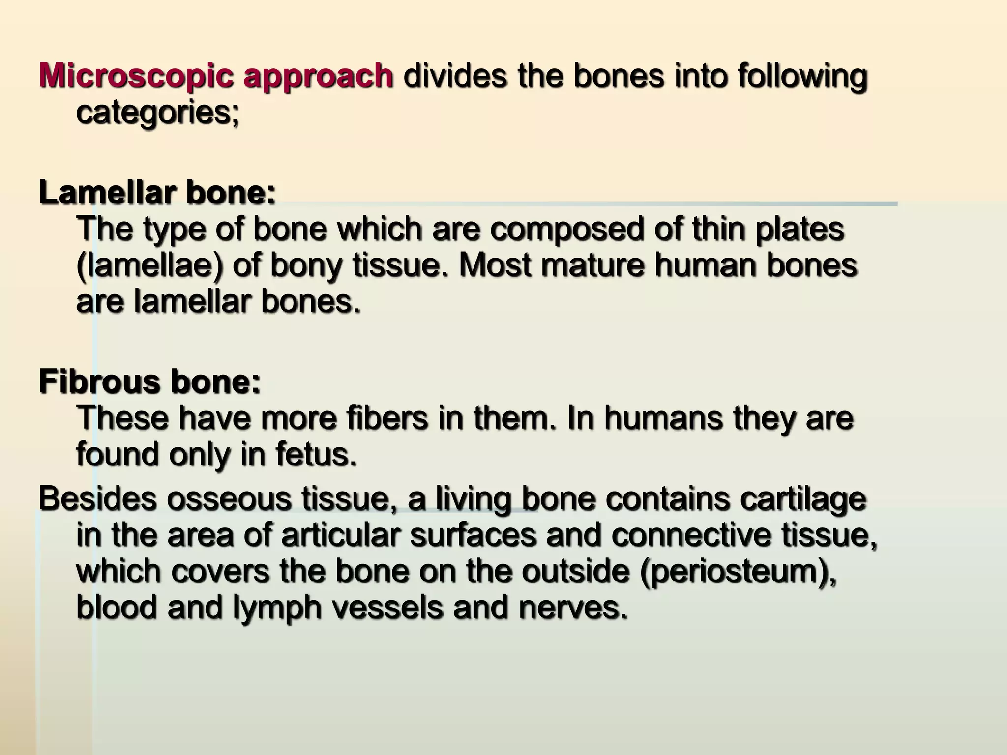 Introductory lecture. osteology (general data). the human skeleton, its ...