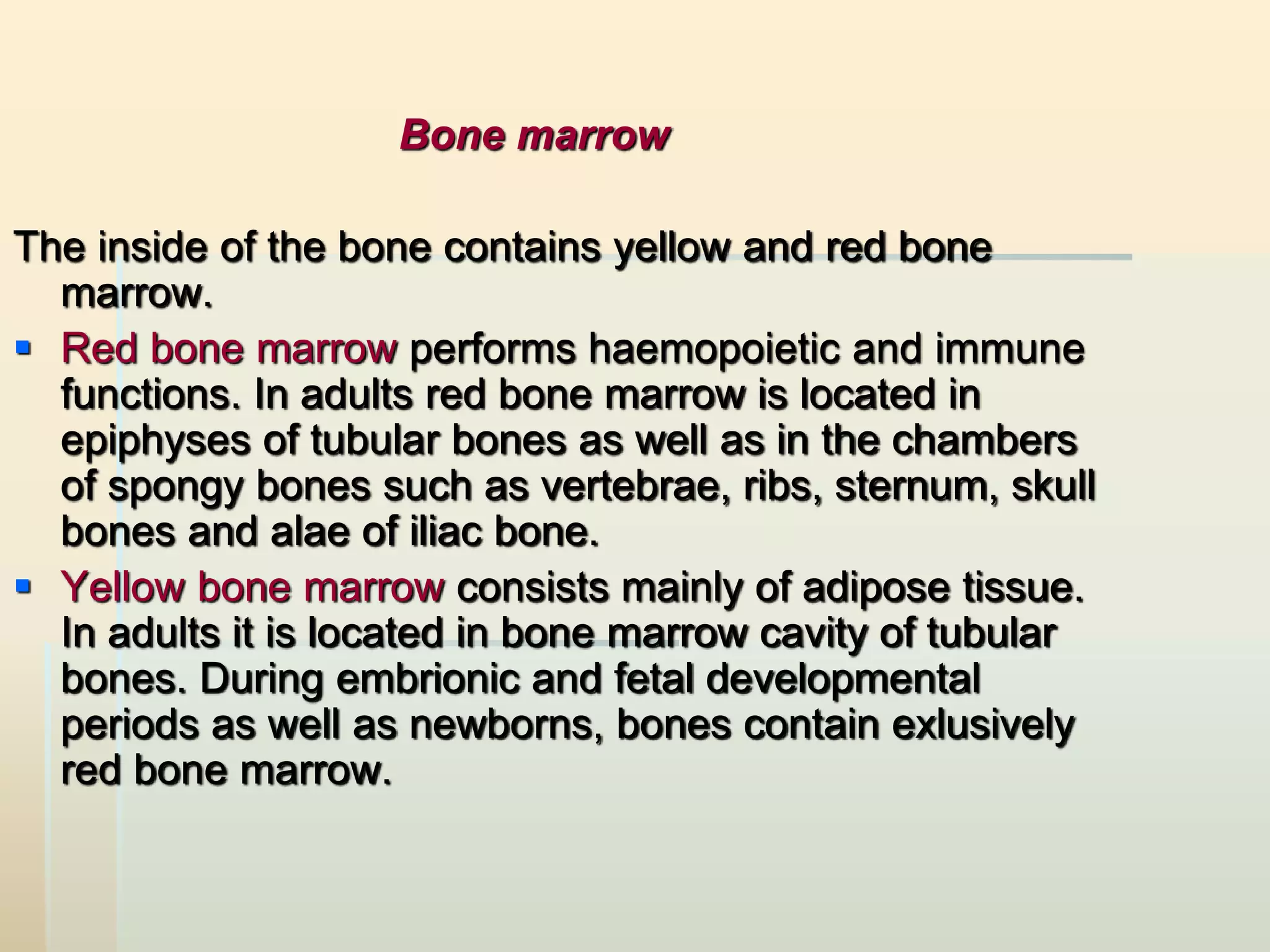 Introductory lecture. osteology (general data). the human skeleton, its ...