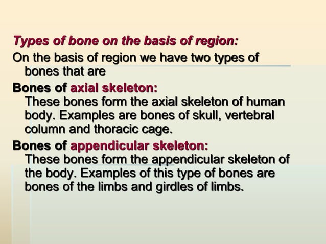 Introductory lecture. osteology (general data). the human skeleton, its ...