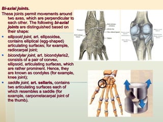 Introductory lecture. osteology (general data). the human skeleton, its ...