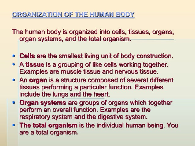 Introductory lecture. osteology (general data). the human skeleton, its ...