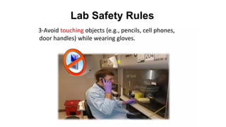 Lab Safety Rules (Molecular_Biology_Lab).pptx