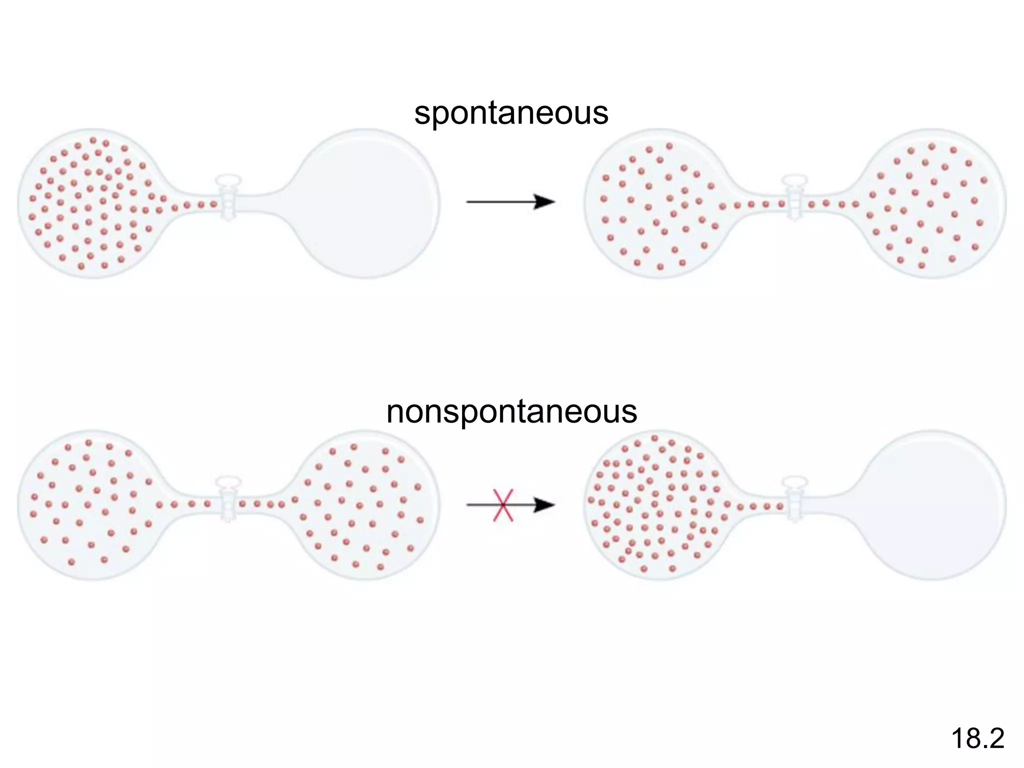 spontaneous
nonspontaneous
18.2
 